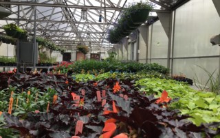 Flex Academy greenhouse